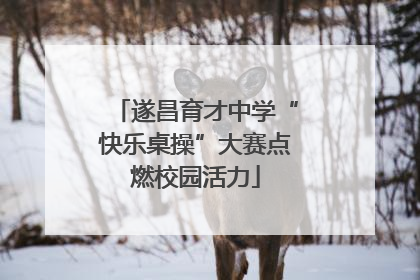 遂昌育才中学“快乐桌操”大赛点燃校园活力