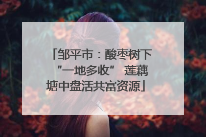 邹平市：酸枣树下“一地多收” 莲藕塘中盘活共富资源