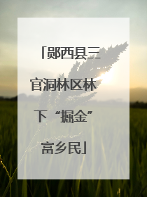 郧西县三官洞林区林下“掘金”富乡民