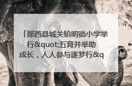 郧西县城关镇明德小学举行"五育并举助成长，人人参与逐梦行"庆六一活动