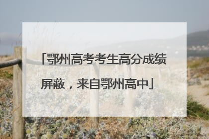 鄂州高考考生高分成绩屏蔽，来自鄂州高中