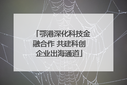 鄂港深化科技金融合作 共建科创企业出海通道