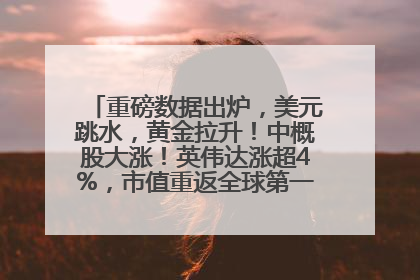重磅数据出炉，美元跳水，黄金拉升！中概股大涨！英伟达涨超4%，市值重返全球第一！黄仁勋计划出售至多600万股股票