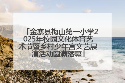 金寨县梅山第一小学2025年校园文化体育艺术节暨乡村少年宫文艺展演活动圆满落幕