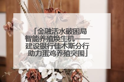 金融活水破困局 智能养殖焕生机——建设银行佳木斯分行助力蛋鸡养殖突围