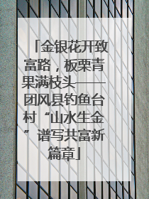 金银花开致富路，板栗青果满枝头——团风县钓鱼台村“山水生金”谱写共富新篇章