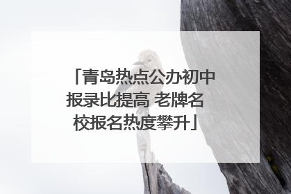 青岛热点公办初中报录比提高 老牌名校报名热度攀升