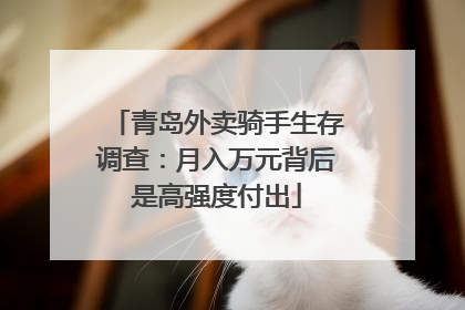 青岛外卖骑手生存调查：月入万元背后是高强度付出