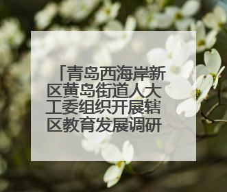 青岛西海岸新区黄岛街道人大工委组织开展辖区教育发展调研活动