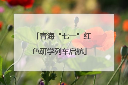 青海“七一”红色研学列车启航