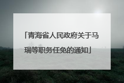 青海省人民政府关于马瑞等职务任免的通知