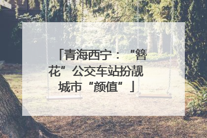 青海西宁：“簪花”公交车站扮靓城市“颜值”