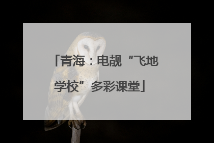 青海：电靓“飞地学校”多彩课堂