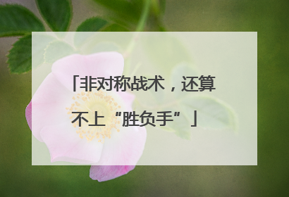 非对称战术，还算不上“胜负手”
