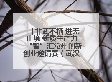 非武不栖 进无止境 新质生产力“智”汇常州创新创业邀请赛（武汉站）圆满举办