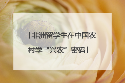 非洲留学生在中国农村学“兴农”密码