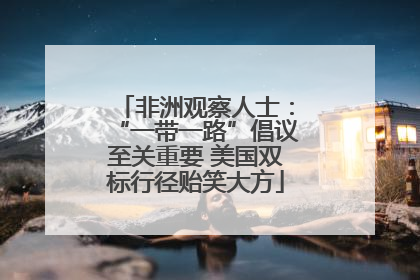 非洲观察人士：“一带一路”倡议至关重要 美国双标行径贻笑大方