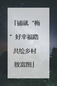 铺就“梅”好幸福路 共绘乡村致富图
