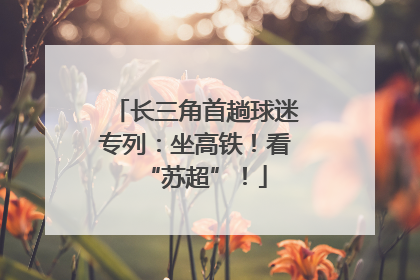 长三角首趟球迷专列：坐高铁！看“苏超”！