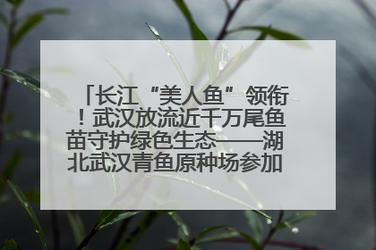 长江“美人鱼”领衔！武汉放流近千万尾鱼苗守护绿色生态——湖北武汉青鱼原种场参加2025年“全国放鱼日”增殖放流活动