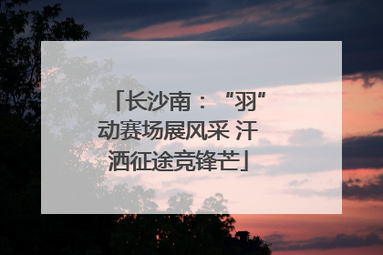 长沙南：“羽”动赛场展风采 汗洒征途竞锋芒
