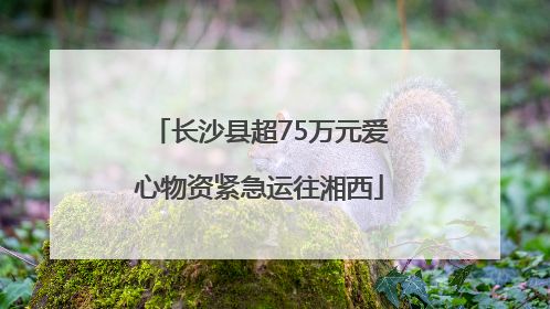 长沙县超75万元爱心物资紧急运往湘西