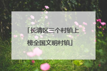 长清区三个村镇上榜全国文明村镇