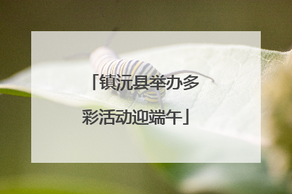 镇沅县举办多彩活动迎端午