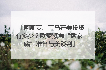 阿斯麦、宝马在美投资有多少？欧盟紧急“盘家底”准备与美谈判