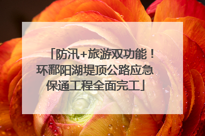 防汛+旅游双功能！环鄱阳湖堤顶公路应急保通工程全面完工
