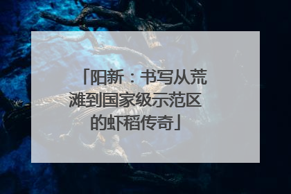 阳新：书写从荒滩到国家级示范区的虾稻传奇