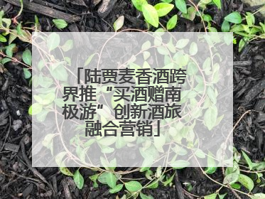 陆贾麦香酒跨界推“买酒赠南极游”创新酒旅融合营销