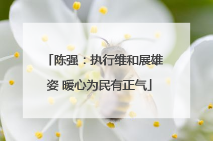陈强：执行维和展雄姿 暖心为民有正气