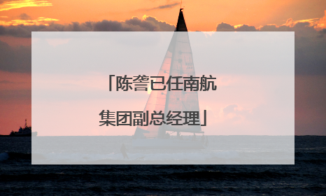 陈詟已任南航集团副总经理