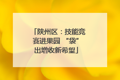 陕州区：技能竞赛进果园 “袋”出增收新希望