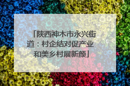 陕西神木市永兴街道：村企结对促产业 和美乡村展新颜