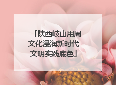 陕西岐山用周文化浸润新时代文明实践底色