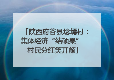陕西府谷县埝墕村：集体经济“结硕果” 村民分红笑开颜