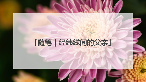 随笔｜经纬线间的父亲