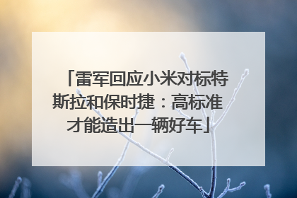 雷军回应小米对标特斯拉和保时捷：高标准才能造出一辆好车