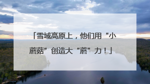 雪域高原上，他们用“小蘑菇”创造大“蘑”力！