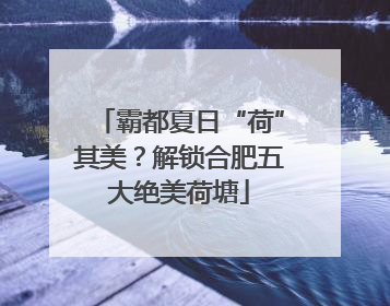霸都夏日“荷”其美？解锁合肥五大绝美荷塘