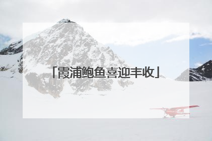 霞浦鲍鱼喜迎丰收