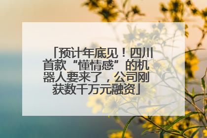 预计年底见！四川首款“懂情感”的机器人要来了，公司刚获数千万元融资