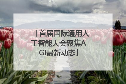 首届国际通用人工智能大会聚焦AGI最新动态