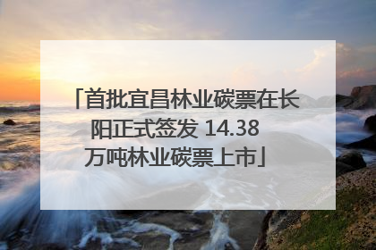 首批宜昌林业碳票在长阳正式签发 14.38万吨林业碳票上市