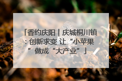 香约庆阳｜庆城桐川镇：创新求变 让“小苹果”做成“大产业”