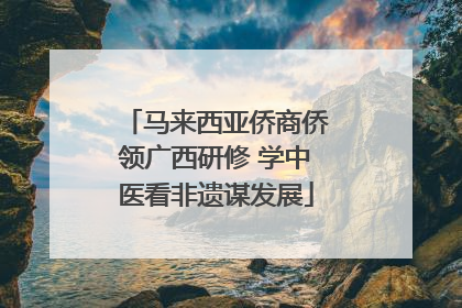 马来西亚侨商侨领广西研修 学中医看非遗谋发展