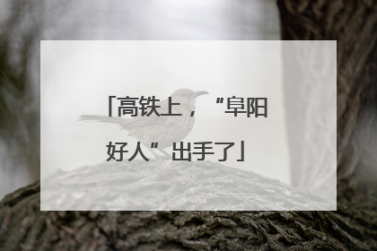 高铁上，“阜阳好人”出手了