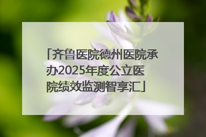 齐鲁医院德州医院承办2025年度公立医院绩效监测智享汇